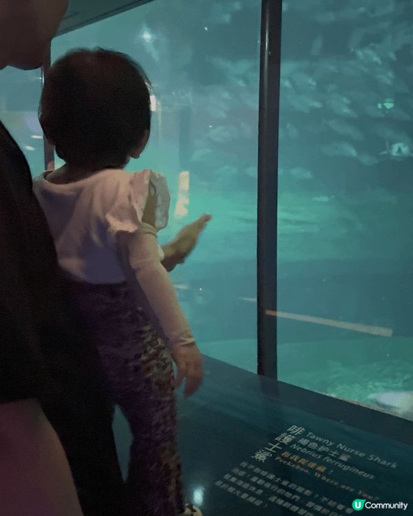 親子好去處，帶左bb去海洋公園睇動物！由於bb已經一歲，開始...