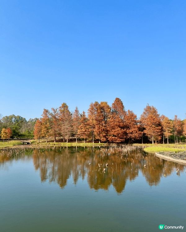 香港濕地公園是一個親自互動的好地方。假日可以帶同小朋友去親親...