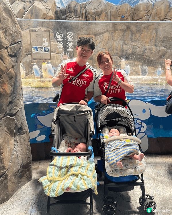 海洋公園集動物保育與溫和設施於一體，配套完善，是寓教於樂的放...