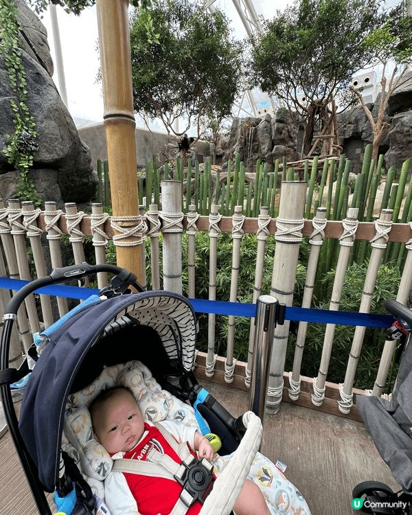 海洋公園集動物保育與溫和設施於一體，配套完善，是寓教於樂的放...
