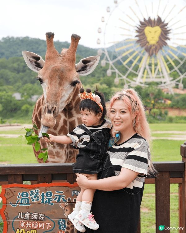 去咗清遠長頸鹿動物園，可以好近距離咁接觸唔同嘅動物，小朋友都...