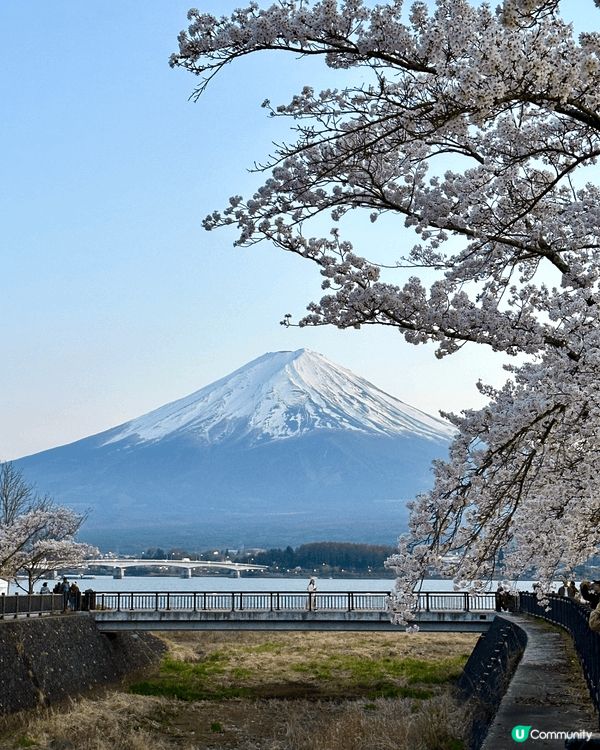 有小朋友去東京睇富士山同埋郊區睇風景 有防曬就唔慢陽光曬親喇...