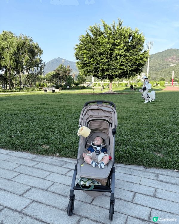 想經常帶Luca出去公園曬太陽，但又好擔心被蚊咬，前排先被咬...