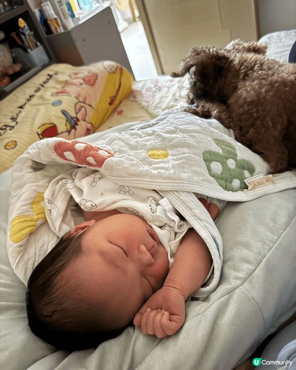 孕期媽媽枕，陪伴着寶寶成長