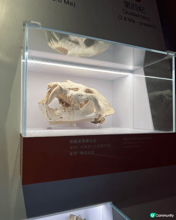如心化石公園:為什麼是親子好去處?