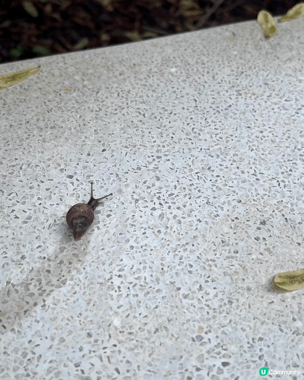如心化石公園:為什麼是親子好去處?