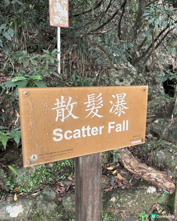 夏日炎炎，除咗正好眠之外，去瀑布行山亦都係一個消暑健康的活動...