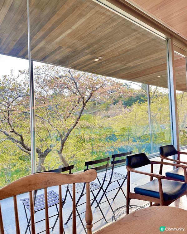 🇯🇵 日本三景之松島海景Cafe 🌳🩵 由仙台過來50分鐘的...