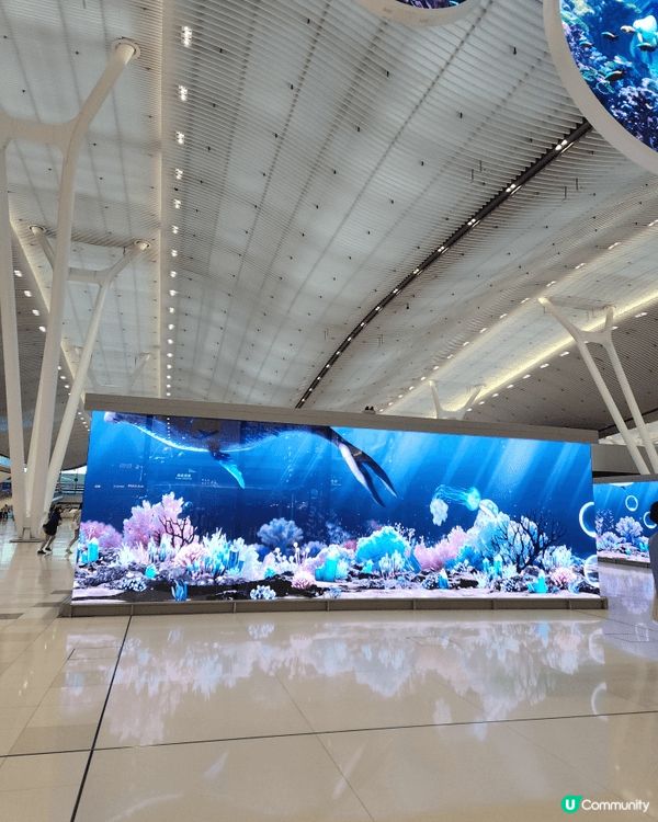 大家坐飛機去旅行，可到香港國際機場T2，有很多打卡位，卡通動...