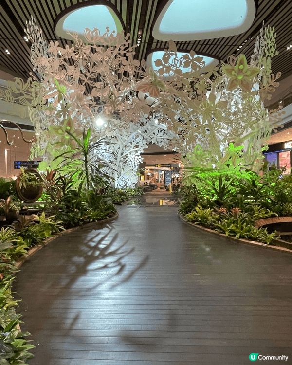 樟宜機場第四航廈好細，要由第一至三航廈坐免費接駁巴士先去到，...