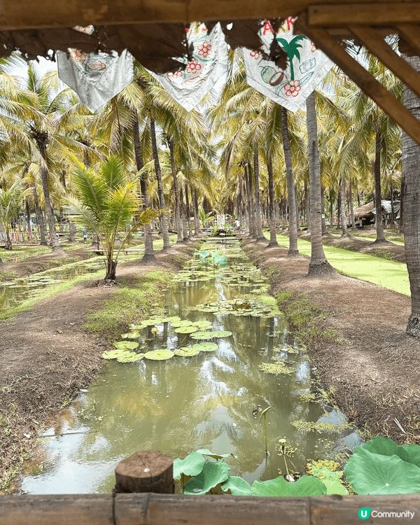 去咗清邁Coconut Market ，呢度真係好正，除咗影...