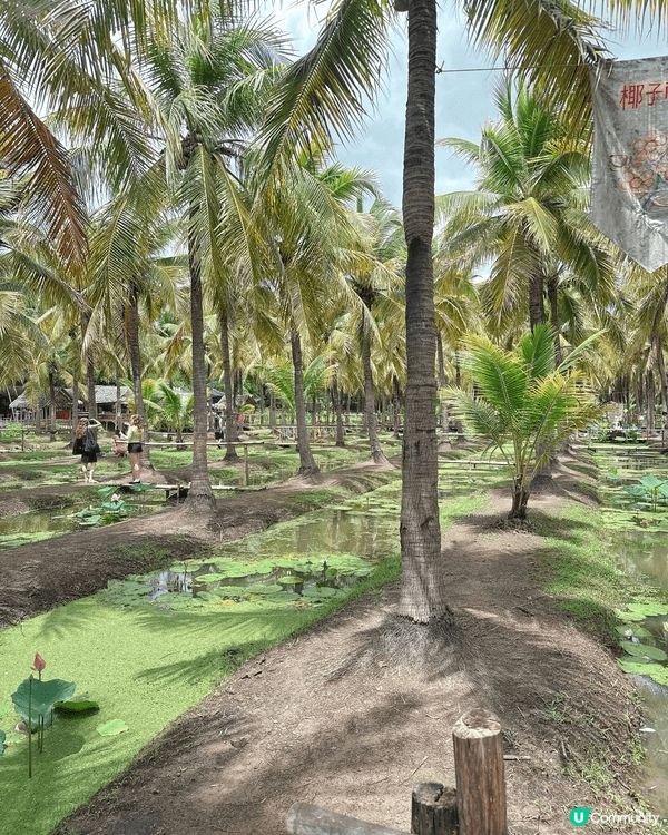 去咗清邁Coconut Market ，呢度真係好正，除咗影...
