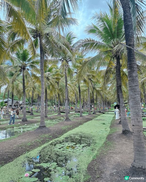 去咗清邁Coconut Market ，呢度真係好正，除咗影...