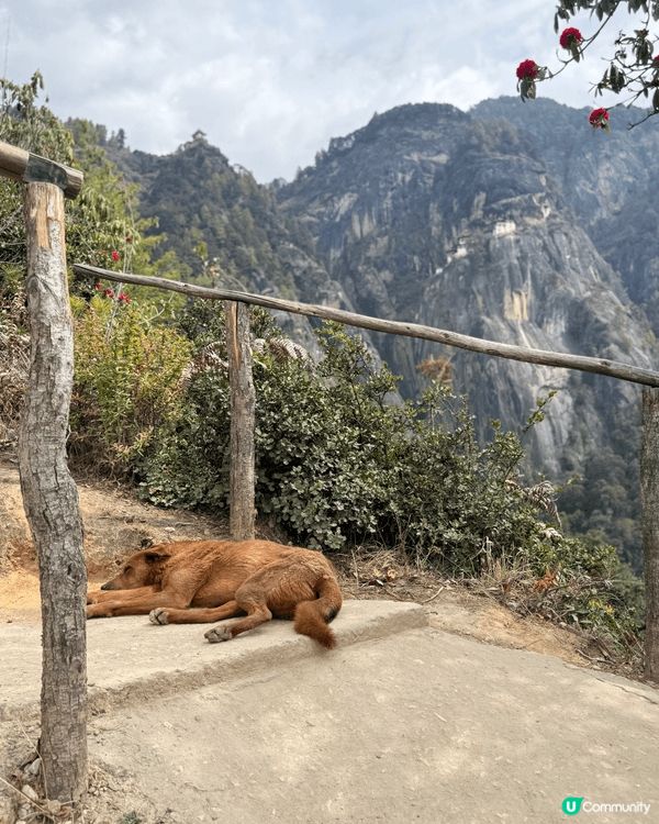 虎穴寺是不丹最震撼的地標，坐落於海拔 3,120 米的懸崖峭...