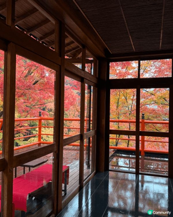 日本京都賞紅葉秘境：今熊野觀音寺！