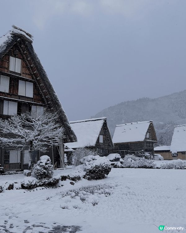 有機會去到白川鄉睇雪