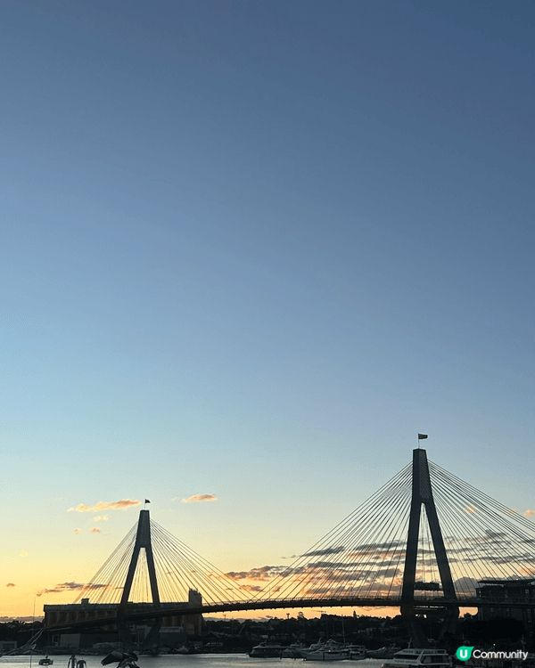 上個月去咗Sydney旅行，去咗新開嘅fish market...