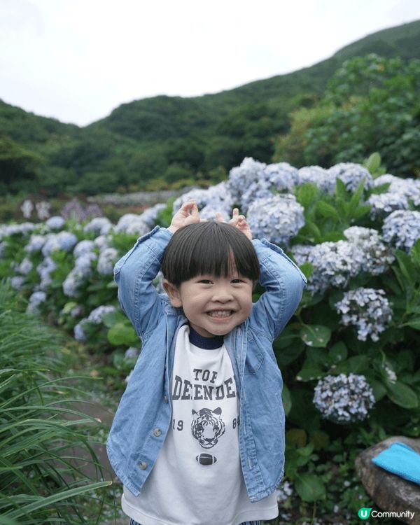 6月帶小朋友去陽明山睇繡球花，雖然撞正毛毛細雨、天色陰沉，但...