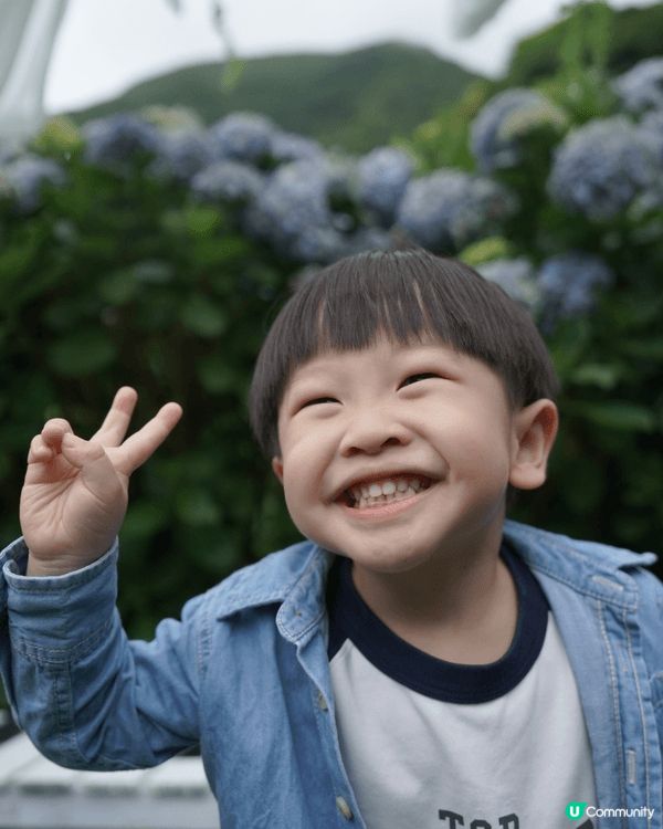 6月帶小朋友去陽明山睇繡球花，雖然撞正毛毛細雨、天色陰沉，但...