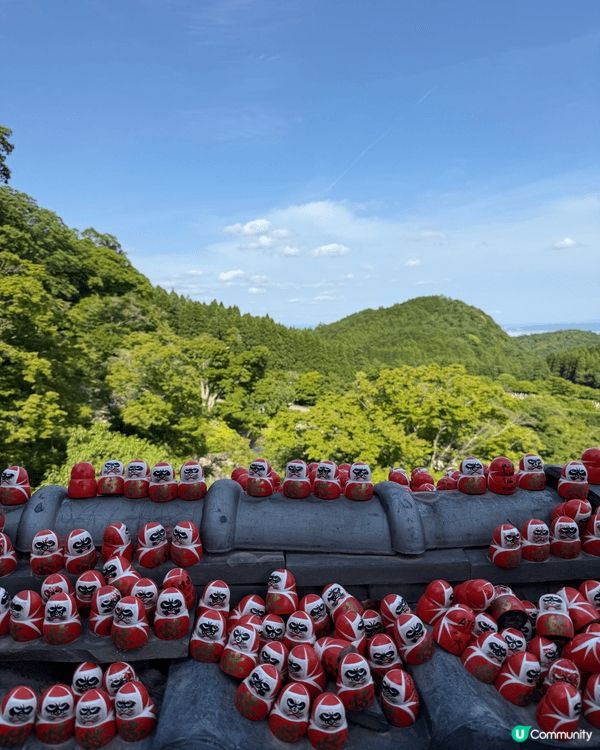 大板勝尾寺，5月既時候去，唔太多人，交通方便，好舒服，好多達...