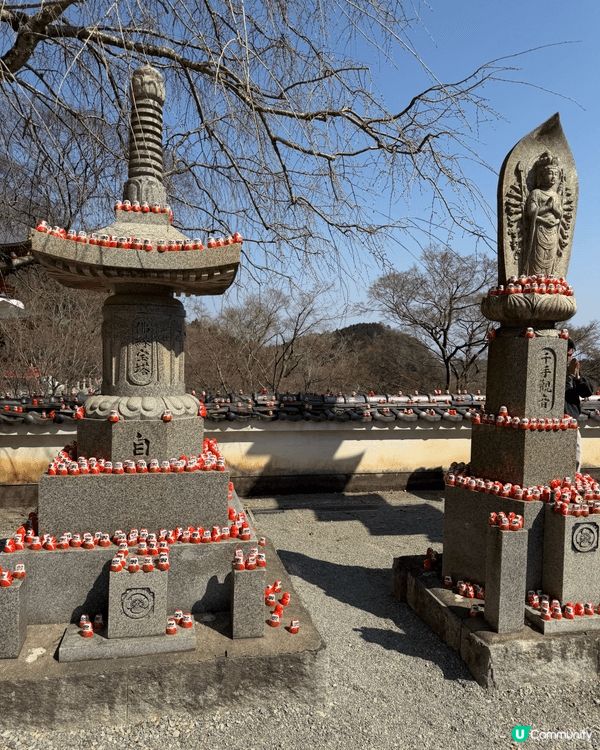 到大阪又自駕遊就要去下勝尾寺入去印返張達摩名信片同打下卡啦，...
