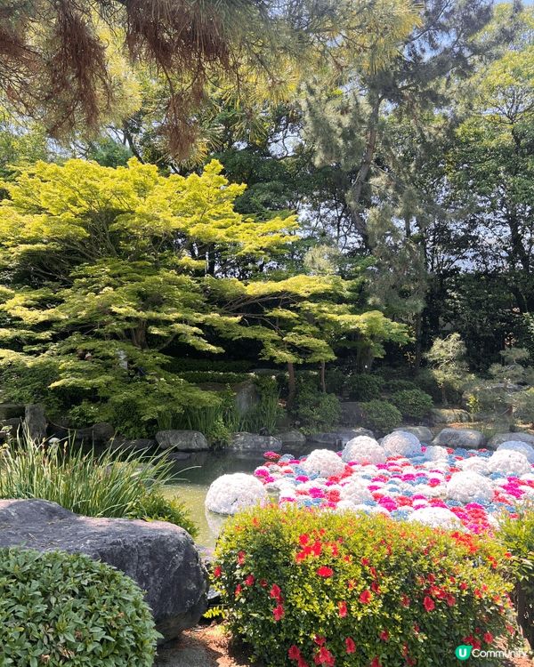 福岡很好玩，又有自然公園，很值得去