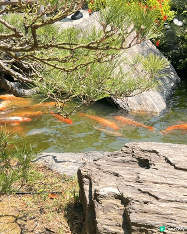 福岡很好玩，又有自然公園，很值得去