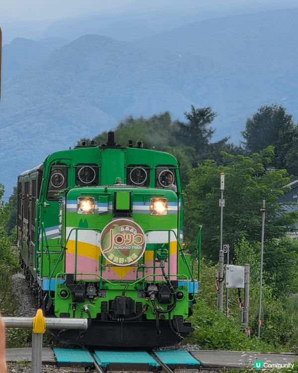 夏天到北海道富良野, 睇薰衣草是必看的景點之一,富田農場是其...