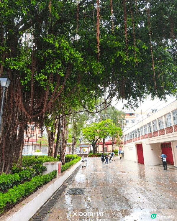 推介沙頭角, 大家绝少接觸地方， 但景色一流， 人生要去一次...