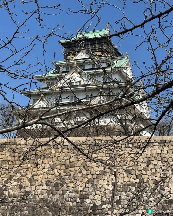 大阪城外公園賞櫻比城內還好，而且免費