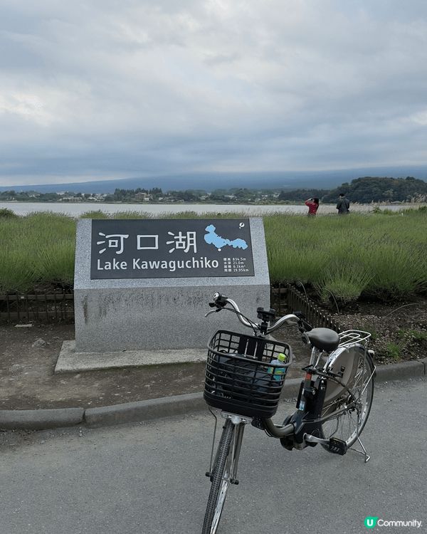 富士山同河口湖就去得多喇，踩住單車chill住遊富士五湖應該...
