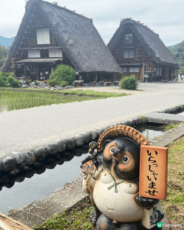 我極力推介去名古屋嘅白川鄉，真係好值得去，因為嗰度真係「多到...