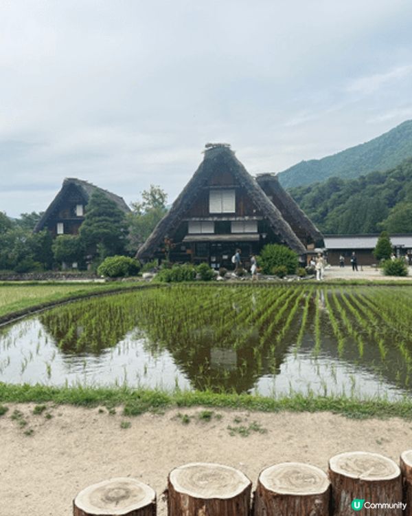 我極力推介去名古屋嘅白川鄉，真係好值得去，因為嗰度真係「多到...