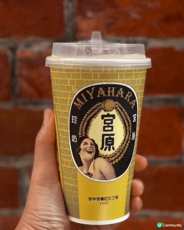古典的紅磚牆與直達天際的巨型木質書櫃交織，散發出濃濃的魔幻復...
