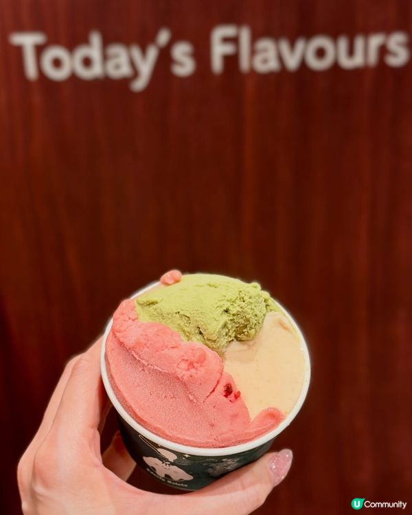 🍦 每日工作18小時嘅Gelato狂人💁🏻‍♀️西營盤新店 ...