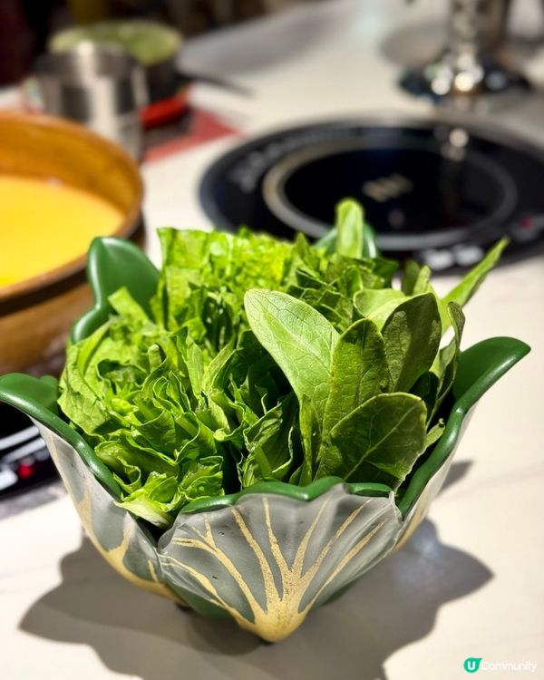 銅鑼灣異國風樓上火鍋 花膠雞鍋足料鮮甜