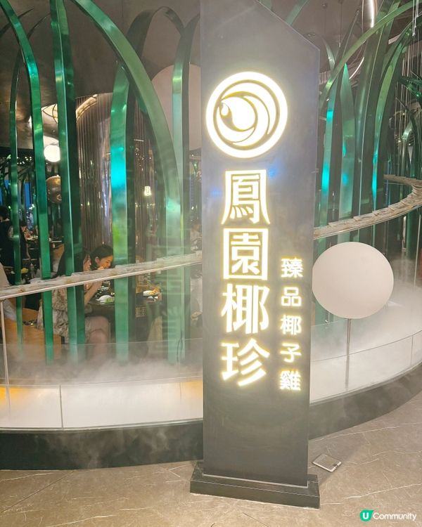 🌴 鳳園椰珍｜泰國椰青雞火鍋！🥥💧