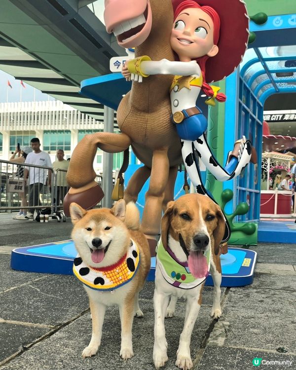 唔知woody同巴斯要飛向宇宙定係拯救西部呢?