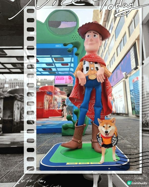 唔知woody同巴斯要飛向宇宙定係拯救西部呢?