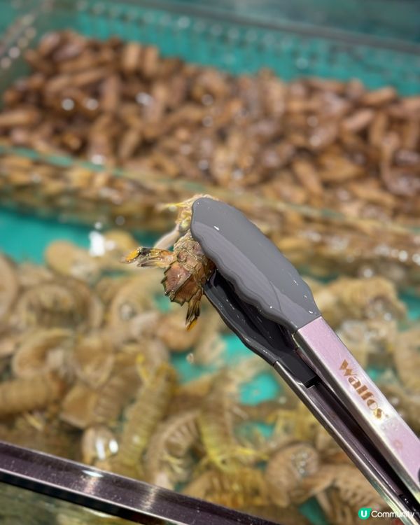 任食海鮮 加即開榴槤