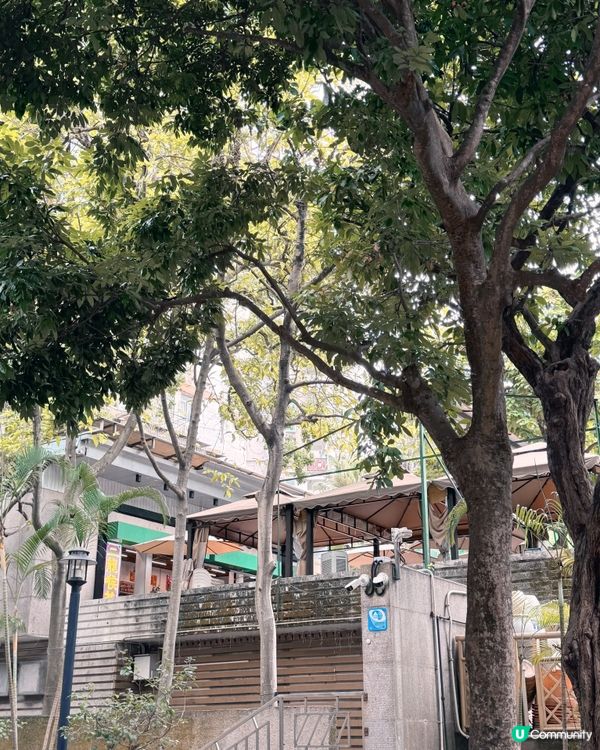 尋找澳門隱世露天茶座！🐿️🍵