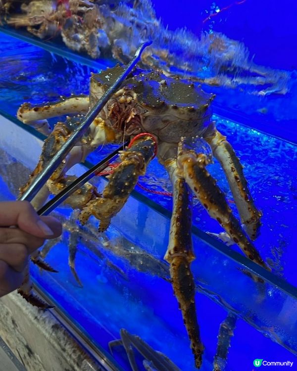 💖食到撐💪 $780嘆全蟹宴！🦀✨