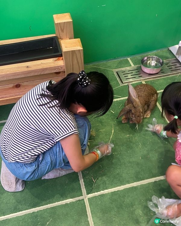 一站式室內好去處！極速高卡車＋放電＋治癒小動物 🏎️