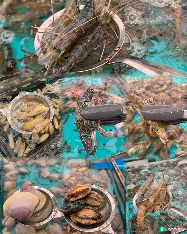 {海鮮兩小時吃到飽,無限量任撈任煮}