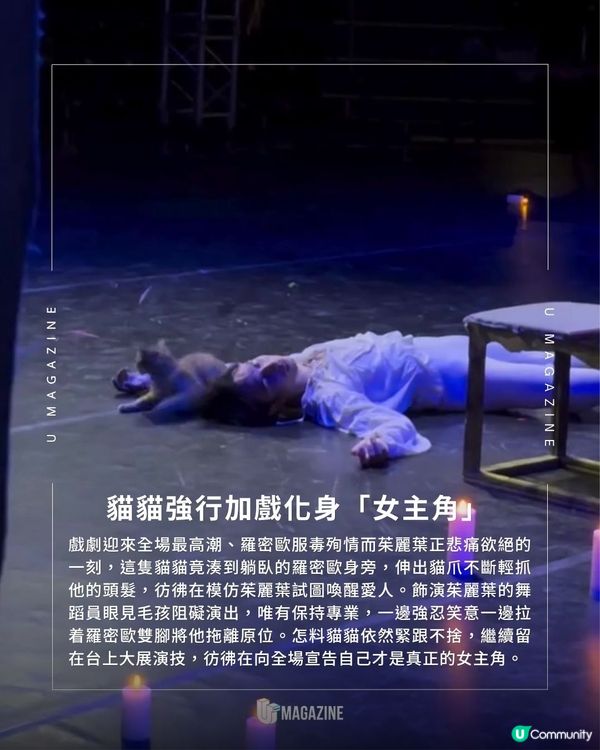 傲嬌貓竟在舞台上與茱麗葉爭寵｜ 網絡爆紅！意外成為「芭蕾舞劇新星」                                                    
