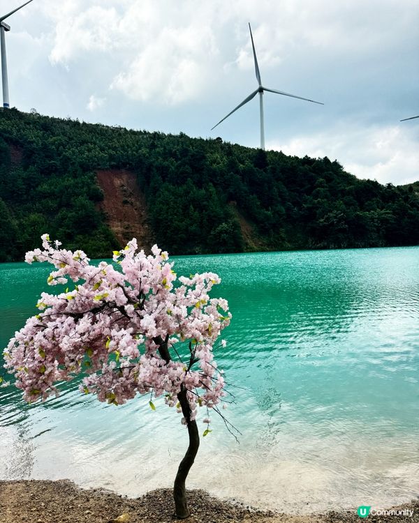 可達藍湖💙⛰️｜紫醉金迷💧