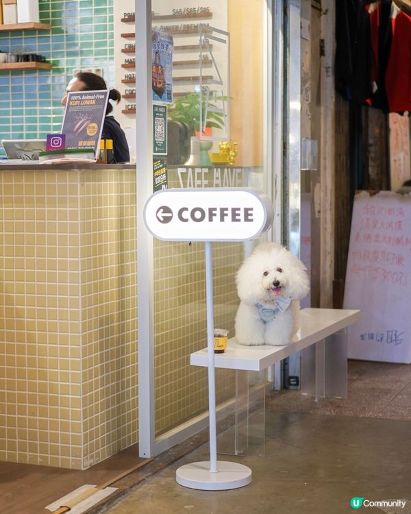Threads 爆紅手沖店 毛孩店長坐鎮