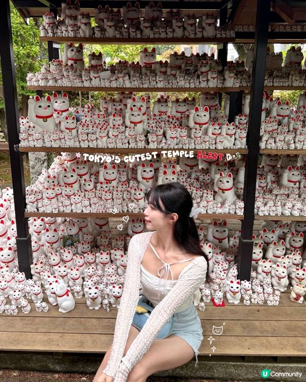 🇯🇵日本東京超治癒招財貓寺廟⛩️🐾