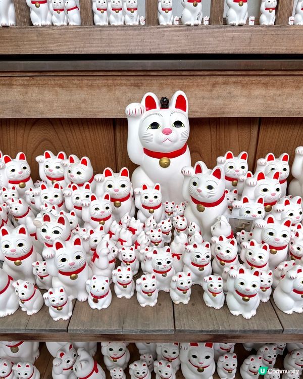 🇯🇵日本東京超治癒招財貓寺廟⛩️🐾