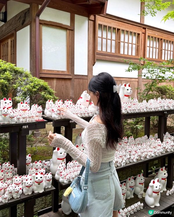 🇯🇵日本東京超治癒招財貓寺廟⛩️🐾